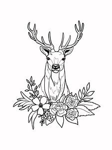 Cerf avec des fleurs sur KPstudio