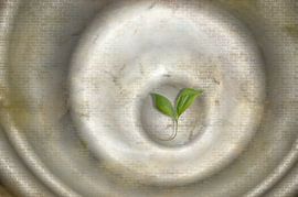 La croissance est toujours possible sur Greta Lipman