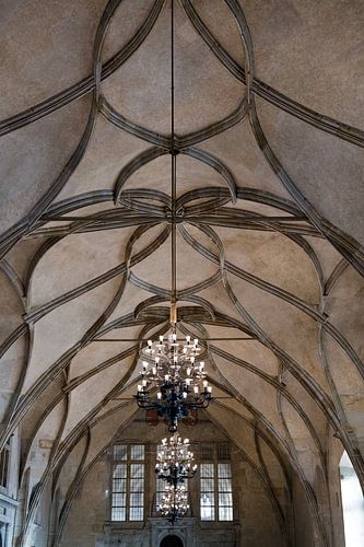 Le plafond d'un château