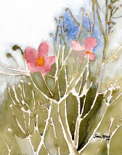 Zarte rosa Blüten
