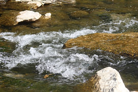 flowmotion