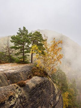 Vue sur les rochers et les arbres d'automne dans la vallée de Saxe sur Rico Ködder