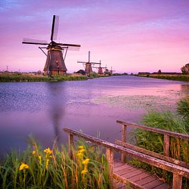 Moulins à vent de Kinderijk sur Juul Hekkens