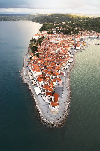 Piran vanuit de lucht | Slovenië’s kuststad met rode daken | Reisfotografie