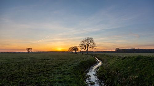 Drents landschap in de ochtend
