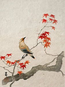 Japanischer Pestvogel auf Ahornbaum. Serie: Japanische Vintage-Drucke