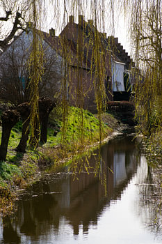 Huisjes weerspiegeld in de Linge: Buren's rustieke charme
