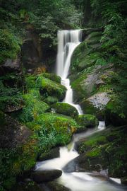 Chute d'eau de Triberg | Forêt Noire | Allemagne | photographie de voyage
