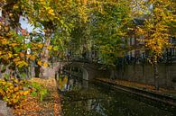 Herbstfarben auf der Nieuwegracht in Utrecht von Arthur Puls Photography Miniaturansicht
