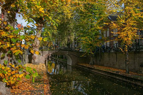 Herfstkleuren aan de Nieuwegracht in Utrecht