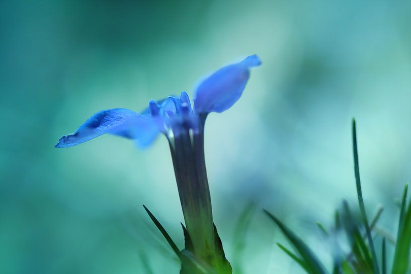 . par LHJB Photography