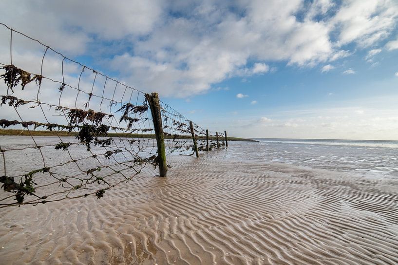 Beach by Rianne Kugel