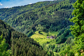 Een uitzicht op een prachtige vallei in het Zwarte Woud in Duitsland