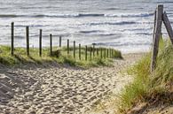 Zand en zee van Dirk van Egmond thumbnail
