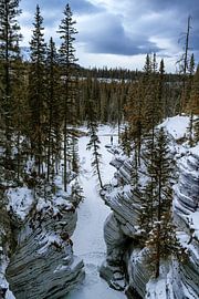 Athabasca falls