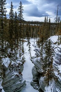 Athabasca falls von Luc Buthker