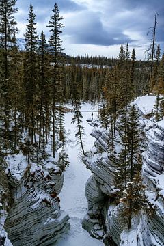 Athabasca falls van Luc Buthker