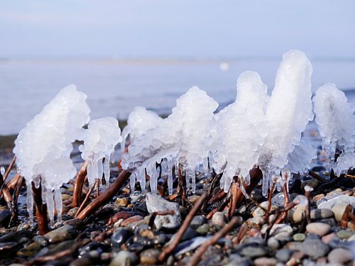 Eis am Stiel – Darß Weststrand im Winter 2018