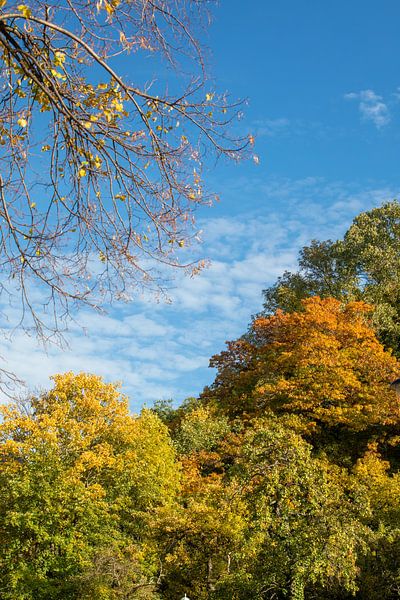 Herfstlandschap (Indian Summer) van t.ART