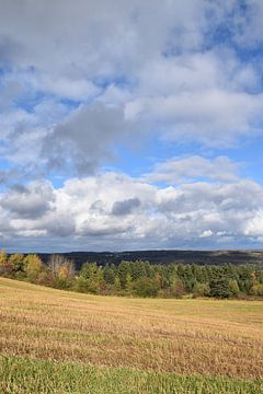 Un champ d'avoine en automne sur Claude Laprise