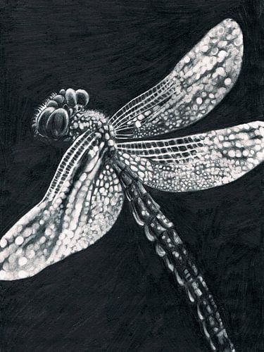 Libelle unterzeichnet