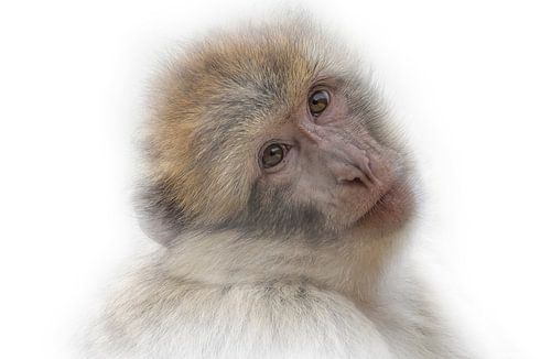 Met je mooie ogen sur Ron Meijer Photo-Art