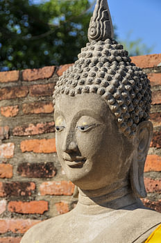 Buddha