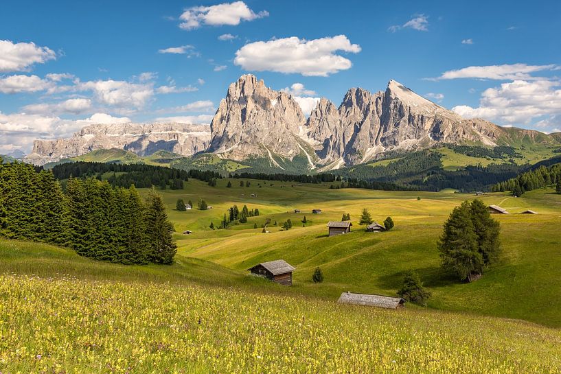 L'été sur l'Alpe de Siusi par Michael Valjak