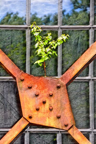 Jungpflanzenbild par Edgar Schermaul