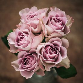 Roze rozen in een vaas van Lorena Cirstea