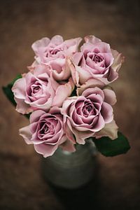 Roses roses dans un vase