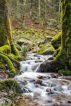 De bergstroom Scouet onder de Grote Waterval van Tendon van Alexander Wolff