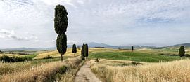 Trail through Val d'Orcia in Tuscany. by Bart Ceuppens