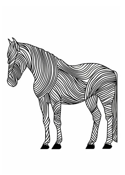 Lines art animal horse by JBJart Justyna Jaszke