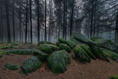Germany - Black Forest - Günterfelsen