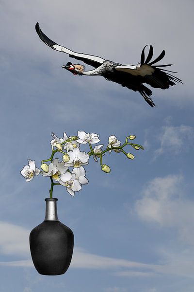 illustration with a black vase, orchid and crown crane bird with a blue sky by W J Kok