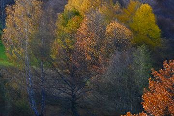 HERFSTDAG 1 van Miroslav Ptacek