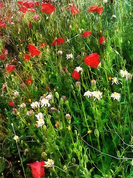 Rode klaproos en wilde bloemen fantasie van Dorothy Berry-Lound