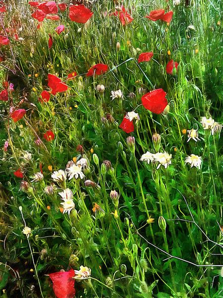 Red Poppy And Wild Flower Fantasy by Dorothy Berry-Lound