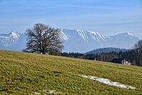 Alpenblick - Bayern