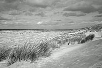 Beach of Terschelling