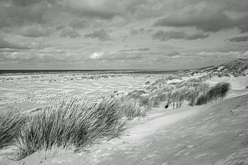 Strand van Terschelling van Helga Kuiper