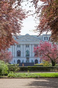 Altonaer Rathaus von 1898, Nordseite, Sitz Bezirksamt Hamburg-Altona, Bezirksversammlung,  Park vor 
