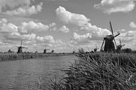Mühlen bei Kinderdijk (Schwarz-Weiß) von FotoGraaG Hanneke Miniaturansicht