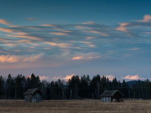 Abendstimmung im Murnauer Moos