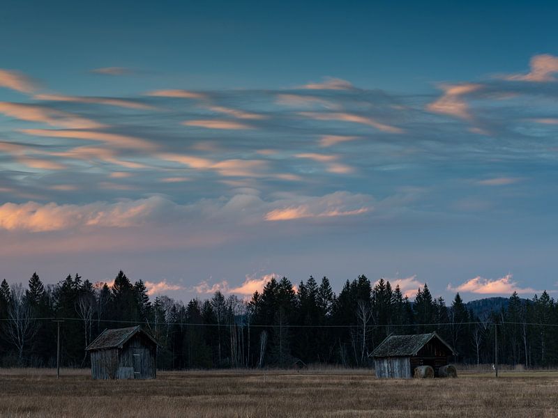 Avondsfeer in de Murnauer Moos van Andreas Müller
