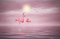 Flamingos (2) van Ursula Di Chito thumbnail
