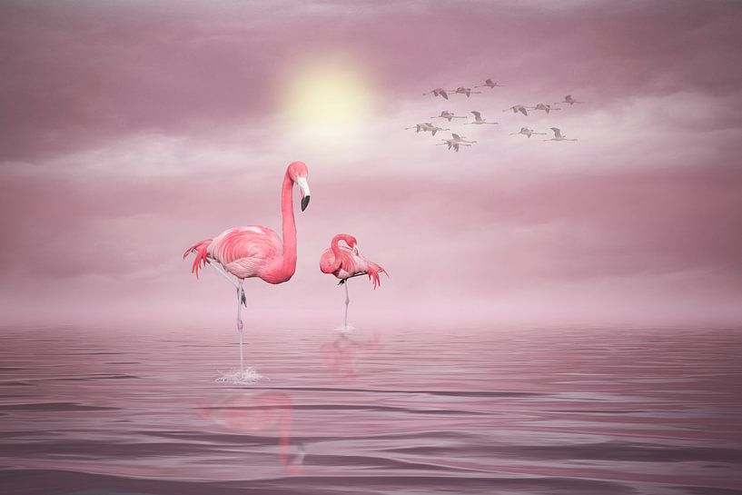 Flamingos (2) van Ursula Di Chito