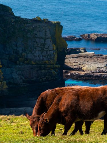 Les Highlanders écossais à la falaise