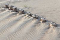 Palenrij op het strand